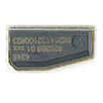 IDT5 chip